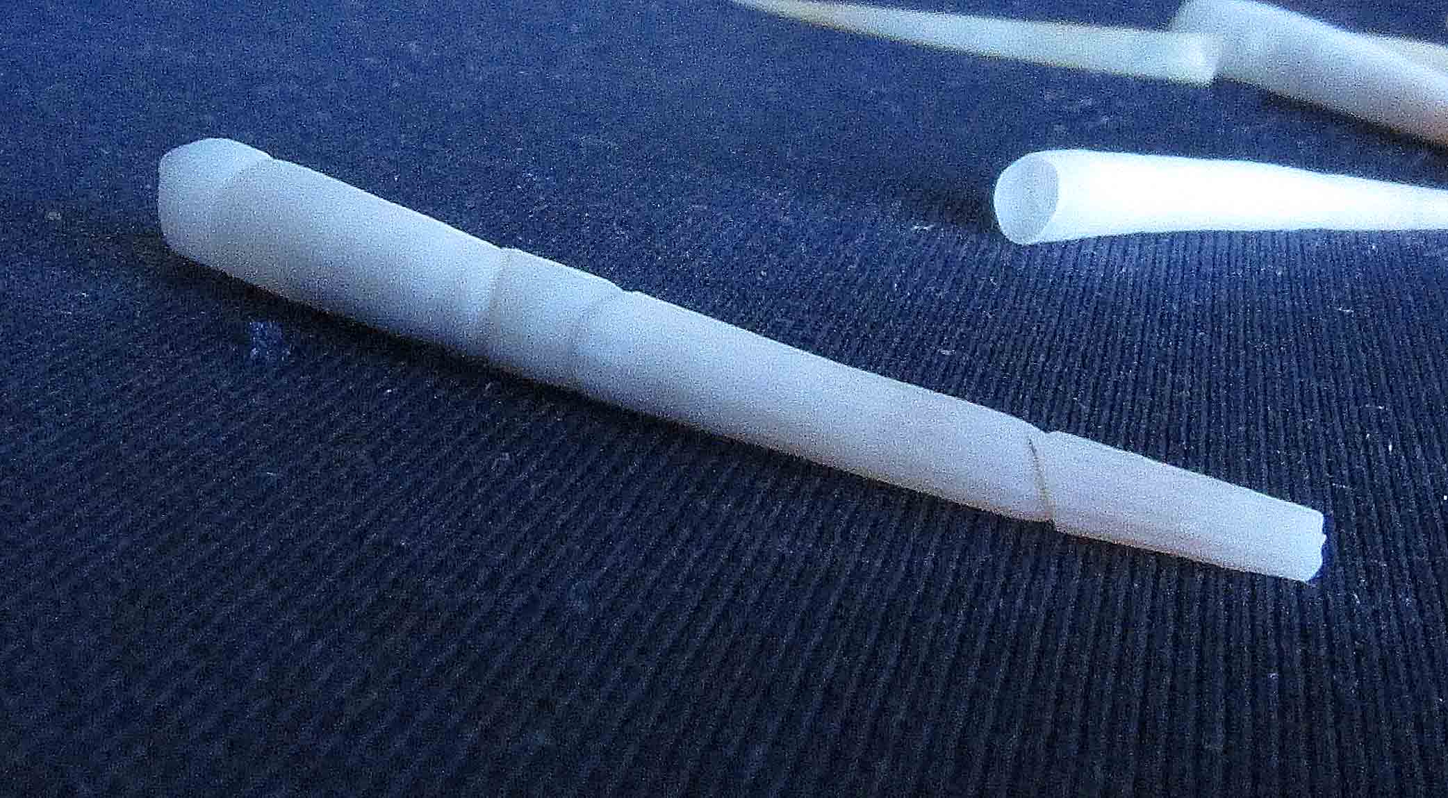 dentalium con forma irregolare